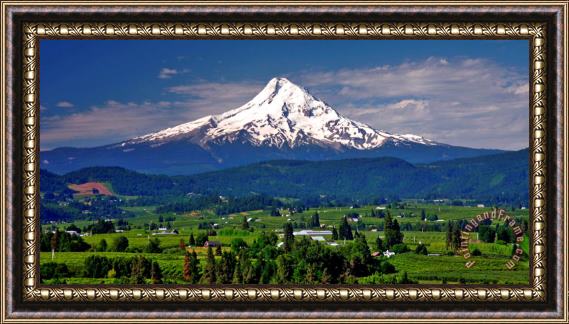 Collection 14 Wine Country Framed Print