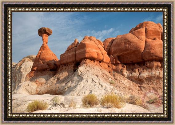 Collection 6 Arizona Toadstool Hoodoos Framed Painting
