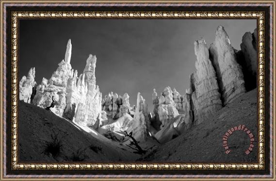Collection 6 Bryce Canyon Infrared Framed Painting