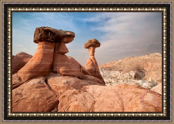 Collection 6 Desert Toadstool Hoodoos Framed Painting