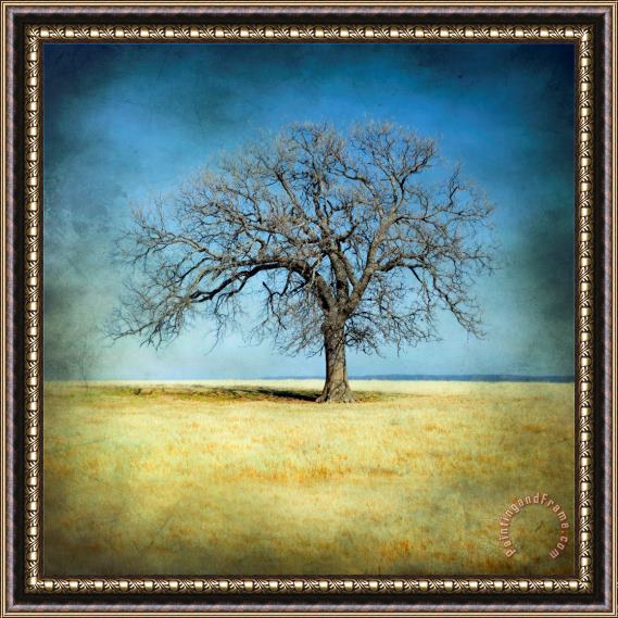 Collection 6 Lone Tree Framed Print
