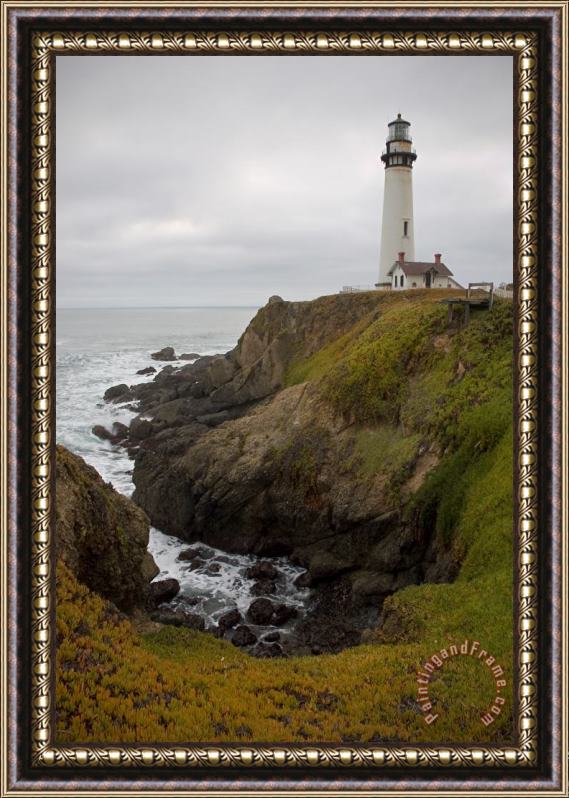 Collection 6 Pigeon Point Lighthouse Framed Print