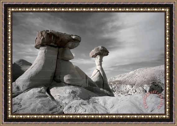 Collection 6 Toadstool Hoodoos Framed Painting