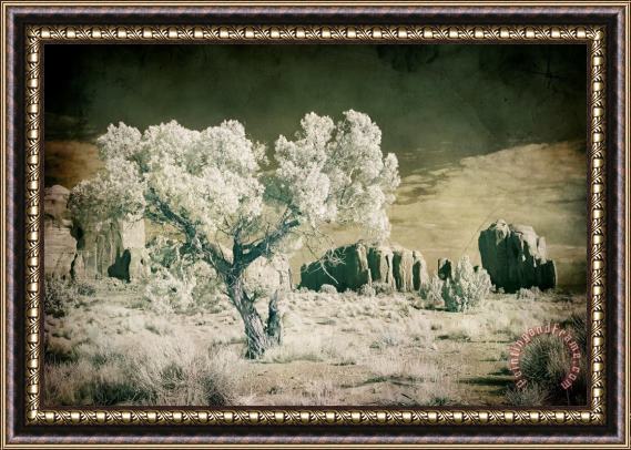 Collection 6 Vintage Monument Valley Desert Framed Print