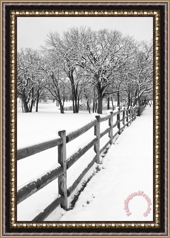 Collection 6 Winter Framed Painting