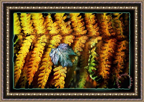 Collection 8 Autumn Fern Framed Painting