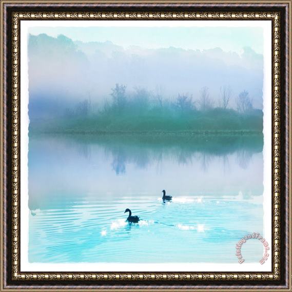 Collection 8 Calm water Framed Painting