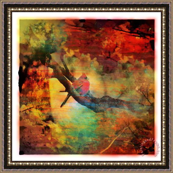 Collection 8 Cardinal Framed Painting