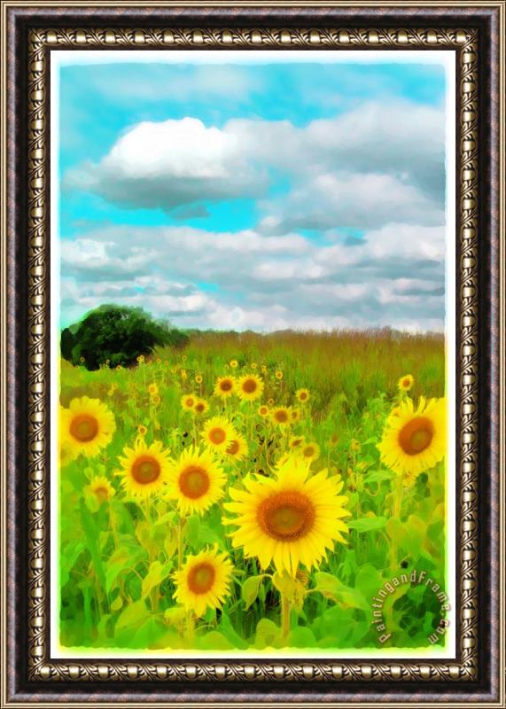 Collection 8 Clouds today Framed Print