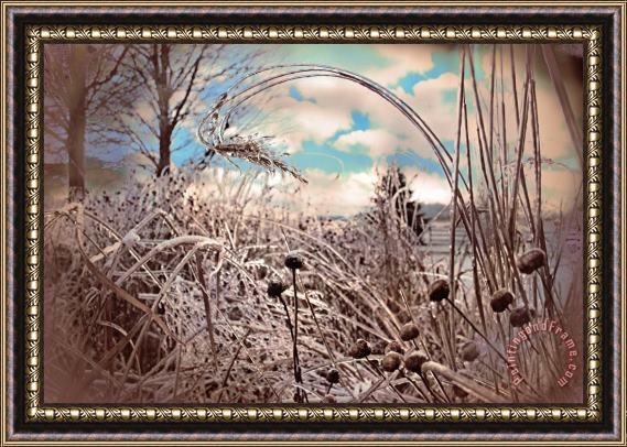 Collection 8 Frozen prairie Framed Painting