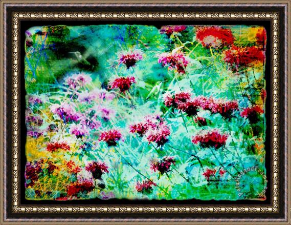 Collection 8 Hummingbirds nectar gathering Framed Painting