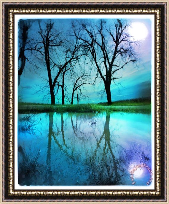 Collection 8 Night sky Framed Painting