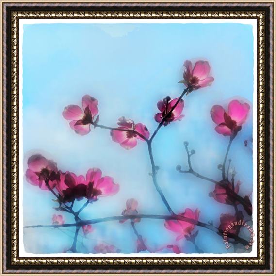 Collection 8 Spring blossom Framed Print