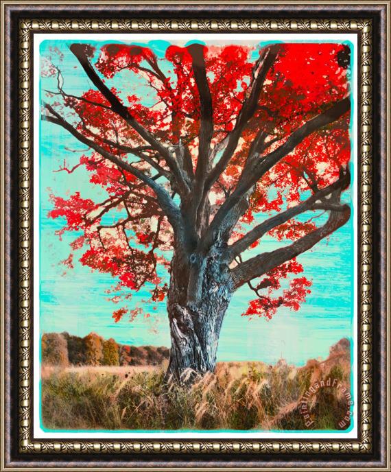 Collection 8 The red tree Framed Print