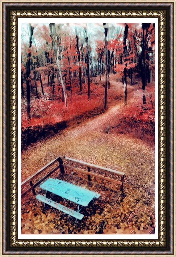 Collection 8 Tree house view Framed Print