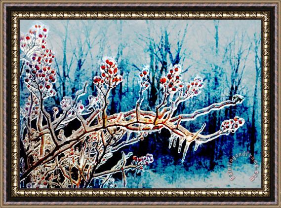 Collection 8 Winter berries Framed Painting