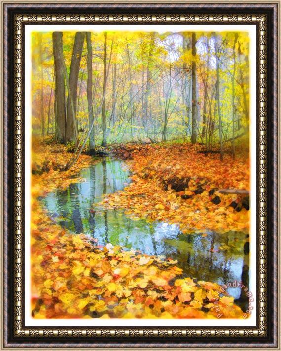 Collection 8 Woodland stream Framed Print