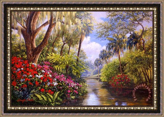 Collection A Day in Paradise Framed Print