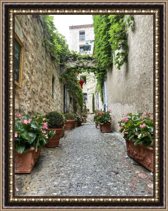 Collection Alley Framed Print