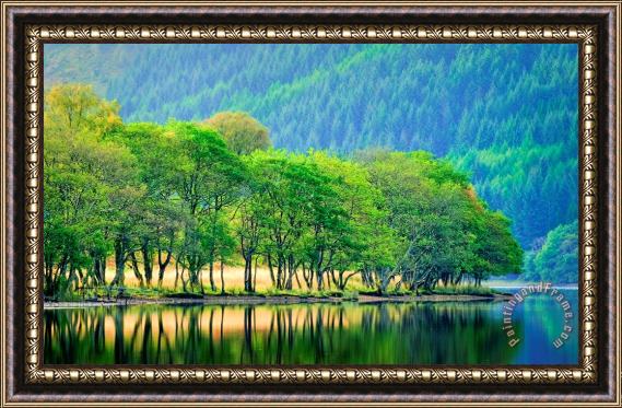 Collection Backlit waters edge on Loch Chon Trossachs Framed Print