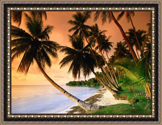 Collection Blue Lagoon Resort Beach Weno Centre Micronesia Framed Painting