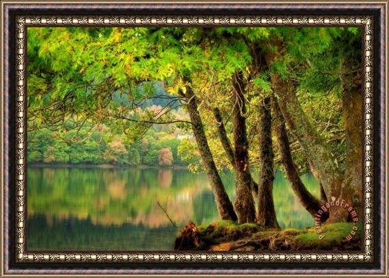Collection Early Fall on loch Ard Framed Painting