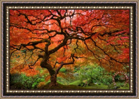 Collection Portland Japanese Garden Framed Painting