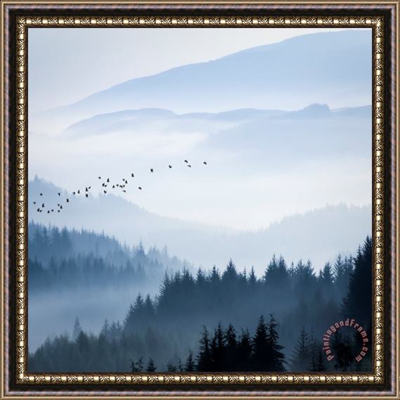 Collection Rising Above... Framed Print