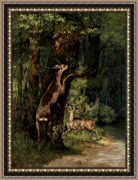 Courbet, Gustave Deer in The Forest Framed Print