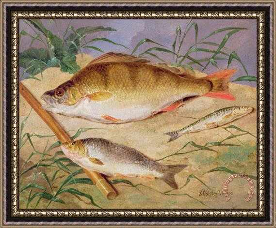 D Wolstenholme  An Angler's Catch of Coarse Fish Framed Painting