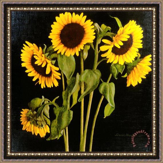 David Hardy Sunflowers Framed Painting