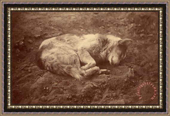 Despoineta (sleeping Dog) Framed Print