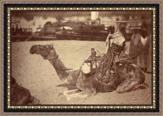 Despoineta Camel with Native Men on The Bank of The Nile Framed Print