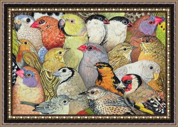 Ditz Patchwork Birds Framed Print