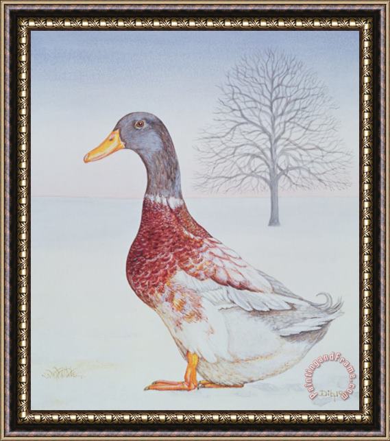 Ditz Winter Drake Framed Painting