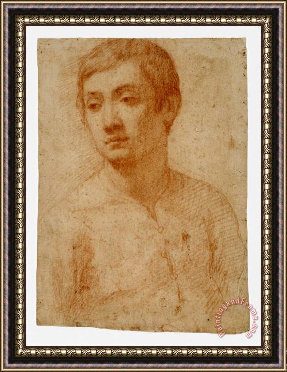 Domenico Cresti The Head of a Youth Framed Painting
