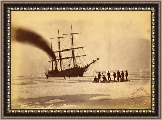 Dunmore & Critcherson Hunting by Steam in Melville Bay, The Party After a Day's Sport Killing Six Polar Bears Within The T... Framed Painting