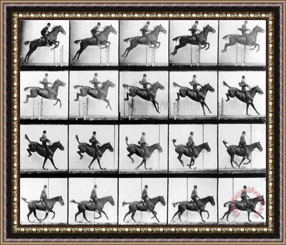 Eadweard Muybridge Man And Horse Jumping Framed Painting