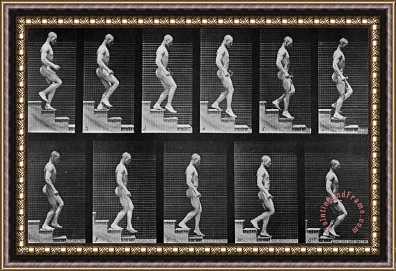 Eadweard Muybridge Man Descending Stairs Framed Print