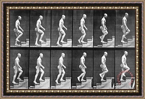 Eadwerd Muybridge Man Ascending Stairs Framed Painting