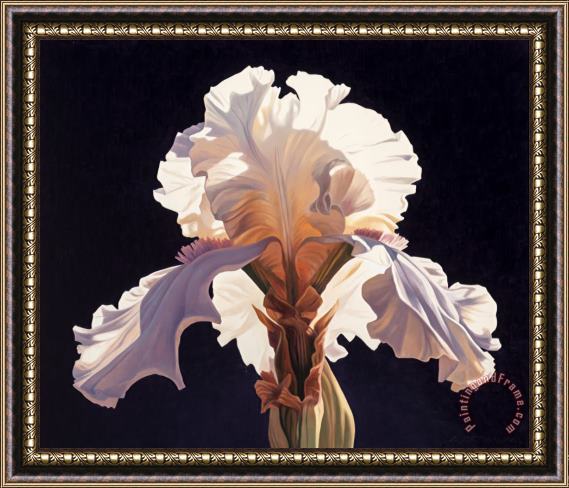 Ed Mell Symmetrical Iris, 1994 Framed Painting