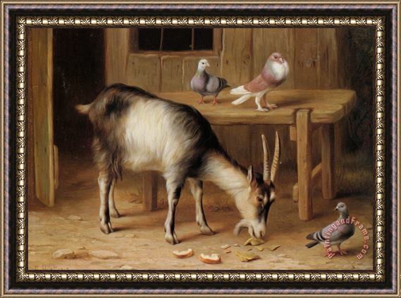 Edgar Hunt A Goat And Pigeons in a Farmyard Framed Painting