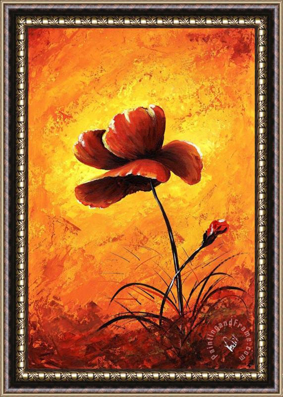 Edit Voros My flowers - Red poppy Framed Painting