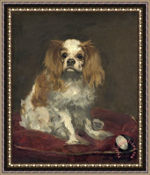 Edouard Manet A King Charles Spaniel Framed Painting