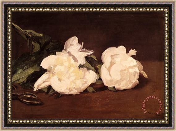 Edouard Manet Branch of White Peonies And Secateurs Framed Print