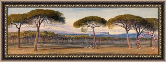 Edward Lear A View of The Pine Woods Above Cannes Framed Painting