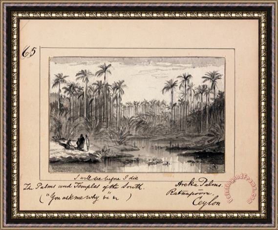Edward Lear Illustration to Tennyson's You Ask Me Why Areka Palms, Ratanapooru, Ceylon Framed Painting