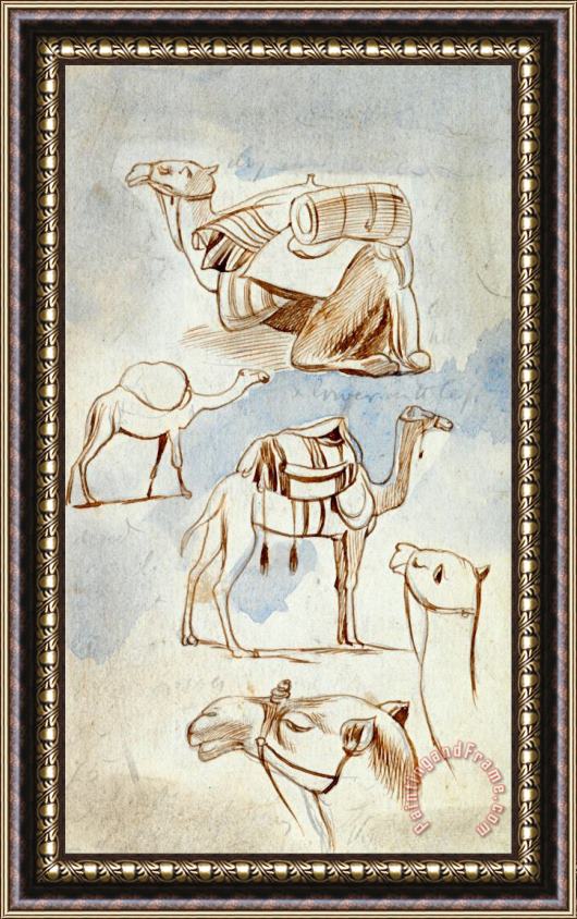 Edward Lear Sketch Studies of Camels Framed Painting