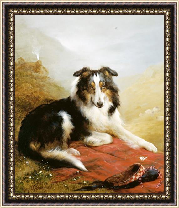 Edwin Douglas A Collie, The Guardian of The Flock Framed Painting