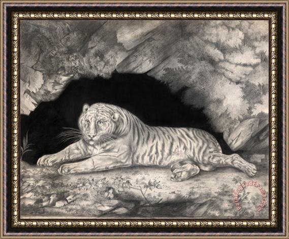Elizabeth Pringle A Tiger Lying in The Entrance of a Cave Framed Painting